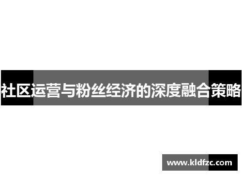 社区运营与粉丝经济的深度融合策略